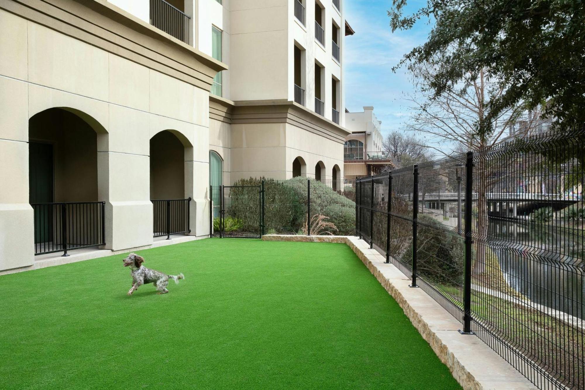 Wyndham Garden River Walk Museum Reach San Antonio Exterior foto